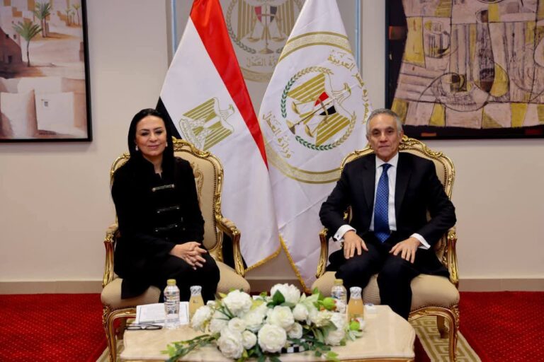 وزيرا العدل والتضامن يبحثان تعزيز التعاون في تشريعات حماية الأطفال وصندوق الأسرة