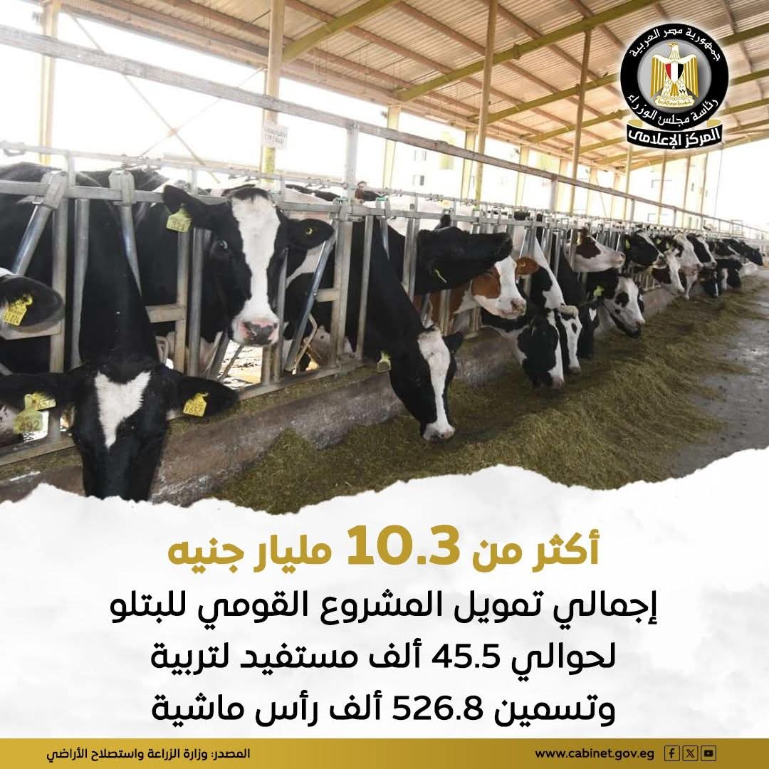 وزارة الزراعة: تمويل أكثر من 10 مليارات جنيه للمشروع القومي للبتلو ويستهدف 45 ألف مستفيد