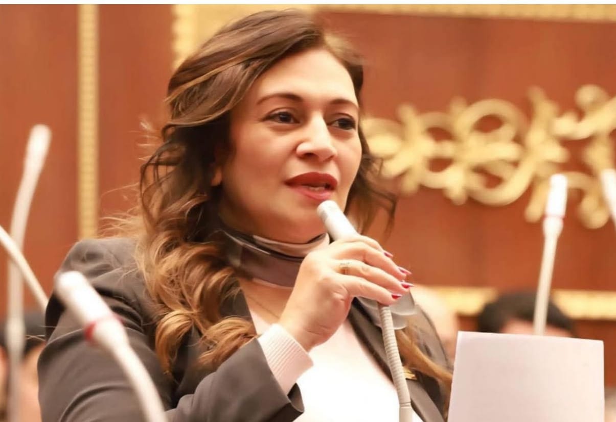 النائبة نيفين فارس تتقدم بدراسة أثر تشريعي حول المادة (60) من قانون العقوبات بشأن العنف الأسري   