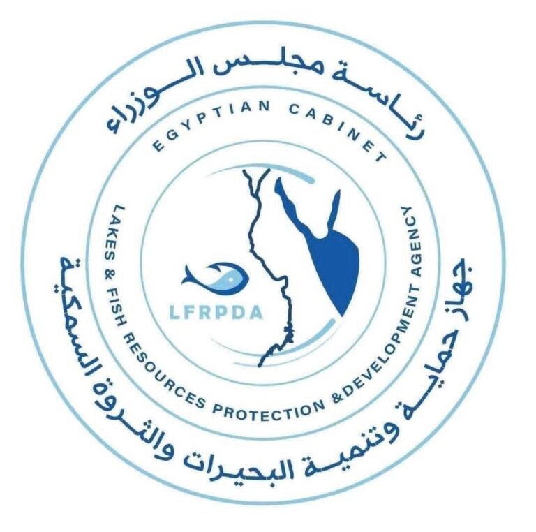 جهاز حماية وتنمية البحيرات يواصل أعمال الصيد بمزرعة المنزلة وإنتاج 40 طنًا من الأسماك المتنوعة