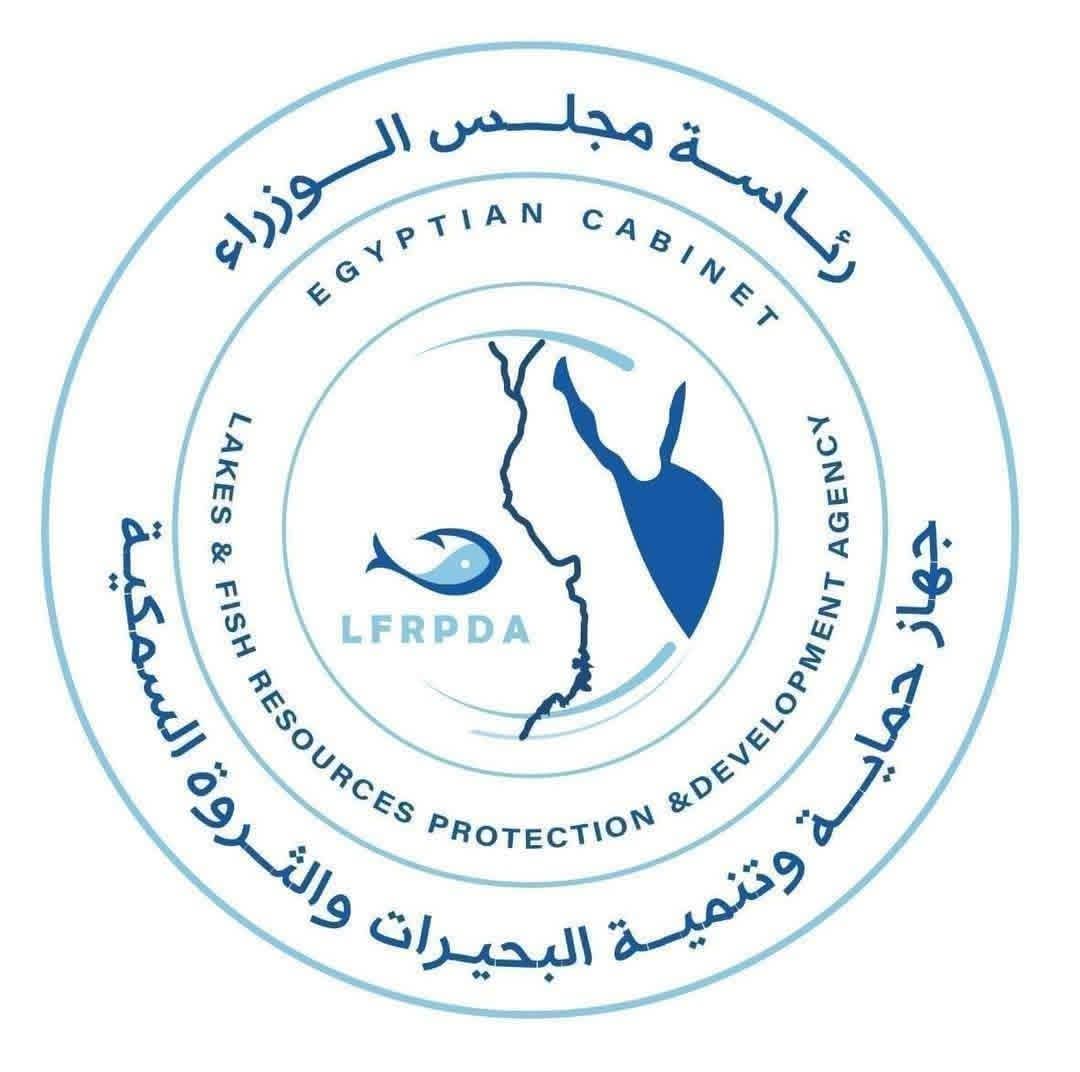جهاز حماية وتنمية البحيرات يواصل أعمال الصيد بمزرعة المنزلة وإنتاج 40 طنًا من الأسماك المتنوعة