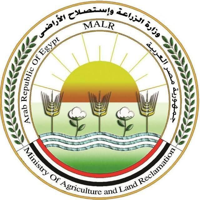 مصر توسع صادراتها الزراعية إلى الأسواق العربية والخليجية