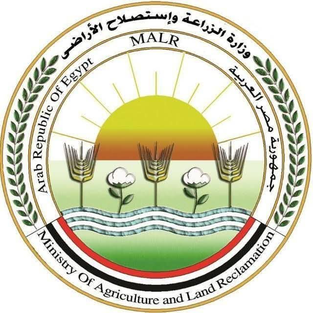 قبل شم النسيم.. حملات مكثفة تضبط أطنان أسماك غير صالحة