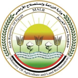 تحصين أكثر من 4.4 مليون رأس ماشية ضمن الحملة القومية