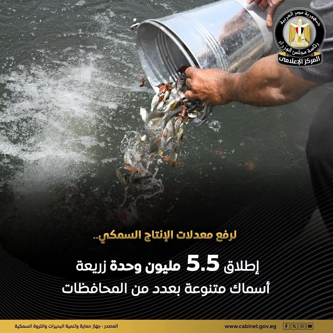 “حماية البحيرات” يواصل تنمية المسطحات المائية بإطلاق زريعة الأسماك في ٥ محافظات لعام ٢٠٢٦