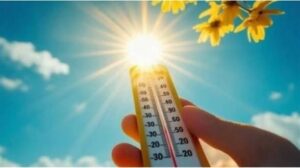 الطقس اليوم.. أجواء حارة وشبورة ورياح بالقاهرة