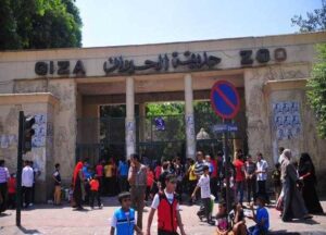 مع بدء الدراسة والرحلات المدرسية.. حديقة الحيوان بالجيزة تستعد لاستقبال الزوار