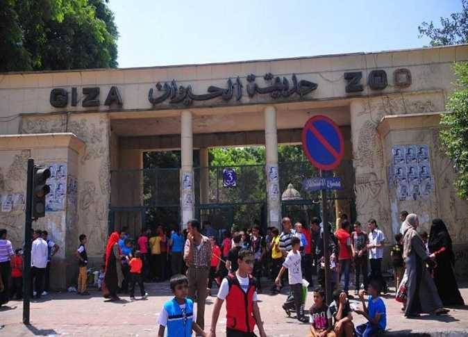 مع بدء الدراسة والرحلات المدرسية.. حديقة الحيوان بالجيزة تستعد لاستقبال الزوار