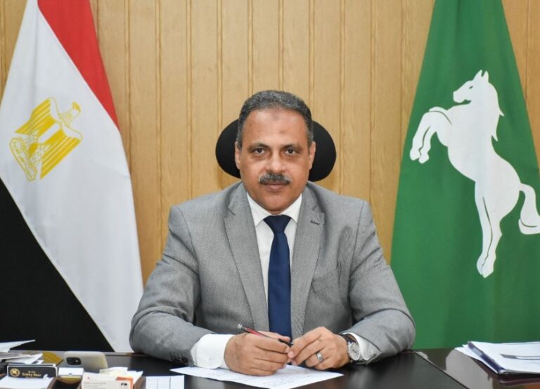 الشرقية تنفذ 5409 مشروعات بتكلفة 70 مليار جنيه خلال 12 عامًا