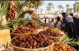 الوادي الجديد ومطروح انطلاق المهرجان الدولي التاسع للتمور المصرية